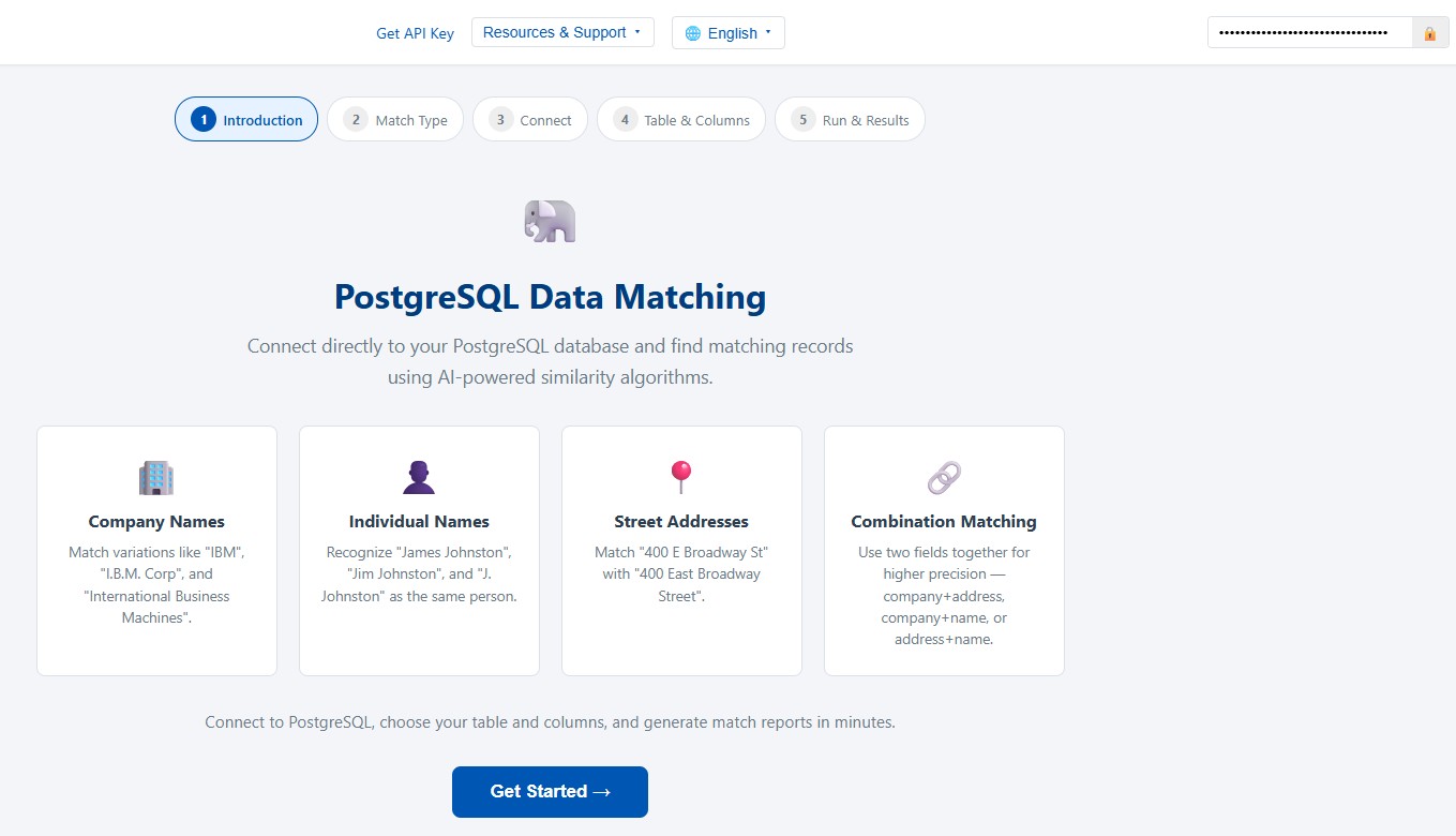 The Postgres Data Matching Wizard introduction screen with the API key entered in the header